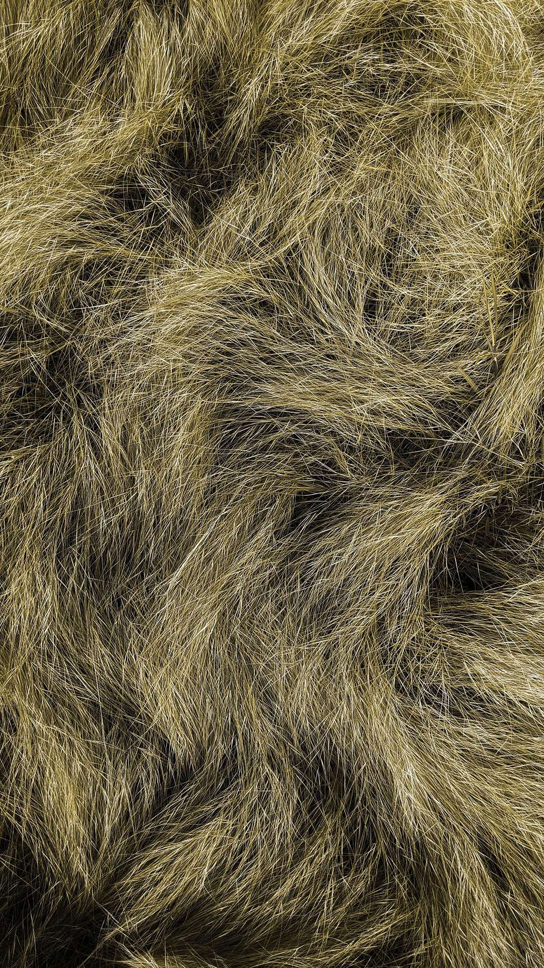 Fur Fabric Wallpaper and Home Decor  Spoonflower
