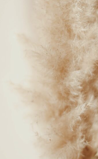 Fur Wallpaper 17 340x550