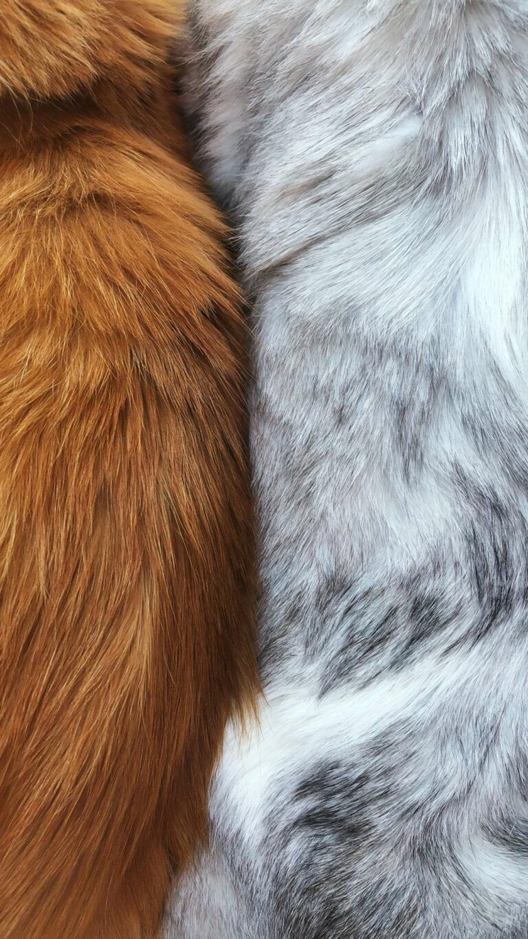 Fur Wallpaper - 23