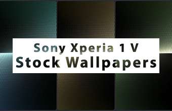 Sony Xperia 1 V Stock Wallpapers