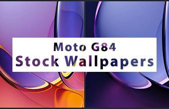 Moto G84 Stock Wallpapers