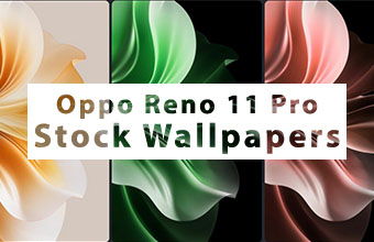Oppo Reno 11 Pro Stock Wallpapers